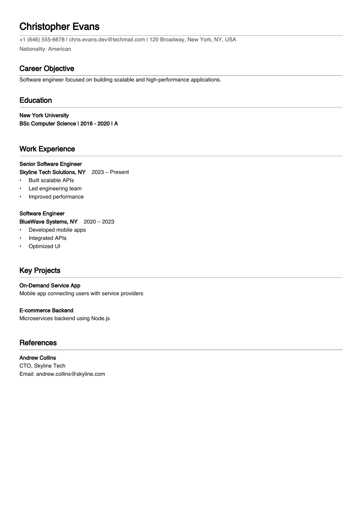 Basic resume template preview